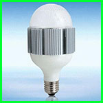 led light bulb (498)