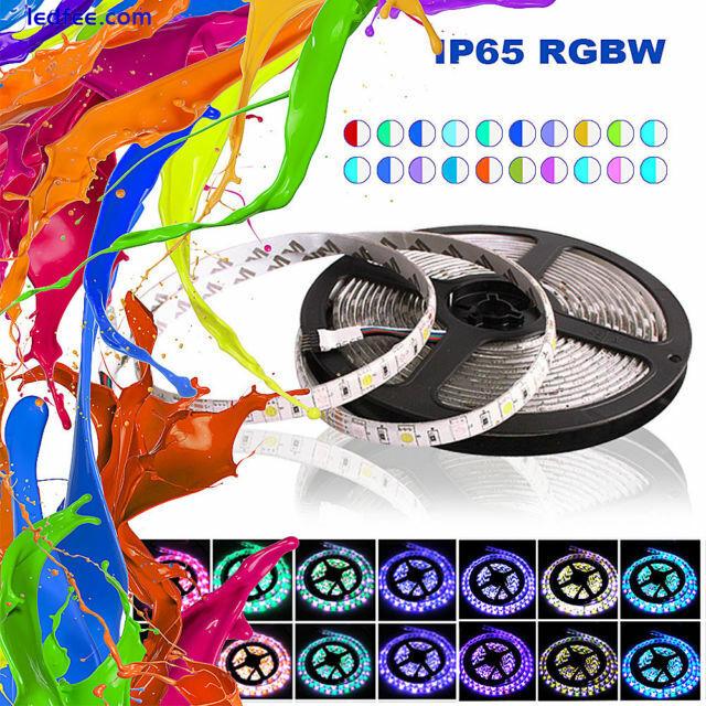 DC 12V 1m 5m SMD 5050 RGB LED Strip Waterproof 300LED RGB RGBW LED Light Strips 0 