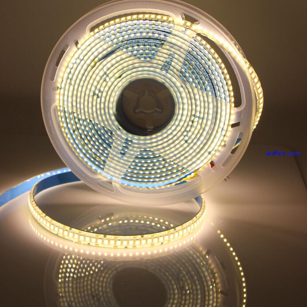 12V LED Strip 2835 SMD 240LED/m High Bright 10mm PCB LED Rope Ribbon Tape Light 3 