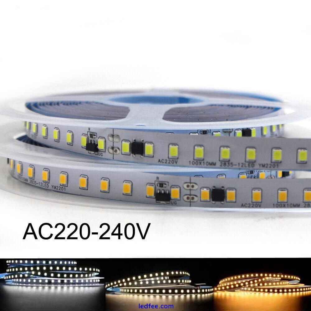 Double row  120led/m 240led/m 5M/20m 2835 SMD LED Strip Light 220V Kitchen lamp 4 