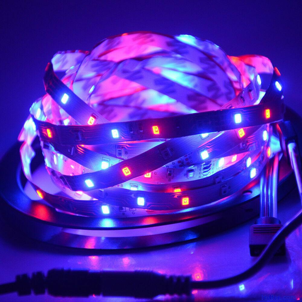 5M SMD 2835/3014/5050/5054/5630 LED Strip Lights 600 LEDs Diode Ribbon Tape Lamp 5 