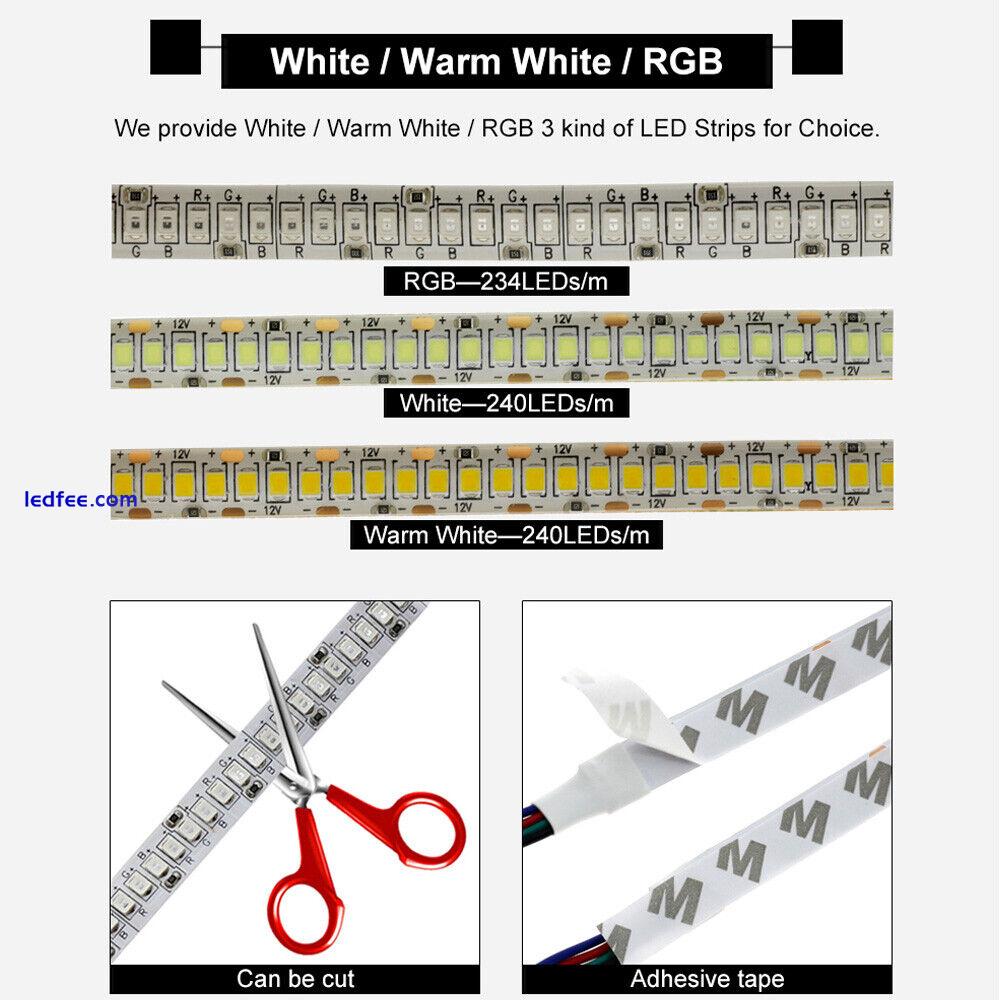240 LEDs/m LED Strip 3528/2835 DC12V Flexible Warm White / White /RGB Neon light 5 