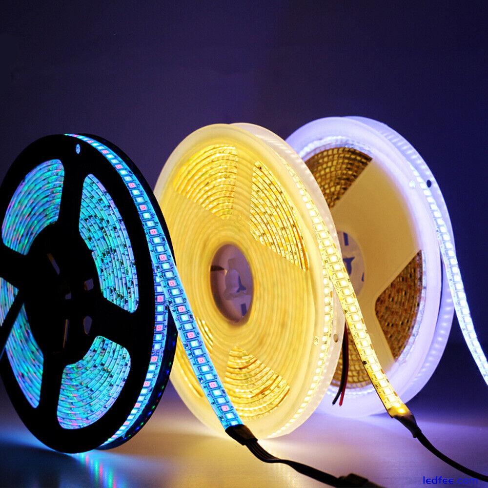 240 LEDs/m LED Strip 3528/2835 DC12V Flexible Warm White / White /RGB Neon light 0 
