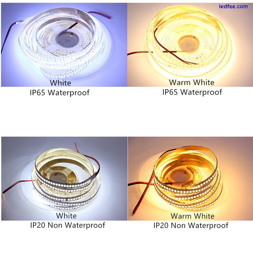 240 LEDs/m LED Strip 3528/2835 DC12V Flexible Warm White / White /RGB Neon light 3 