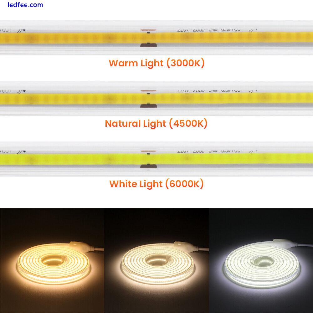 220V 230V COB LED Strip Lights High Density Flexible 3000K 4000K 6000K Tape Rope 1 