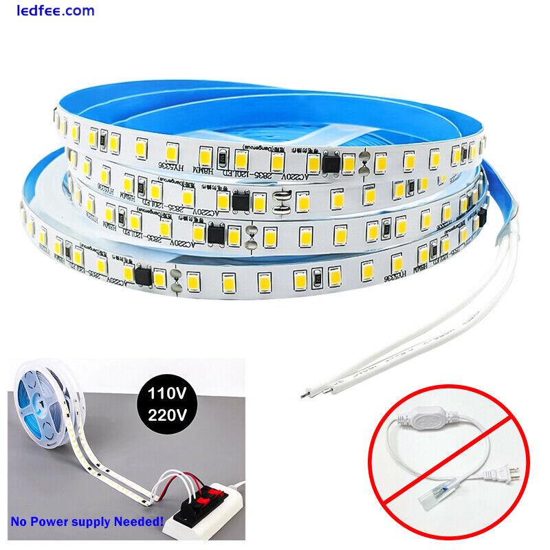 5m 220V PCB LED Neon Strip Lights Flexible LED Tape for House AD Sign Xmas Party 0 