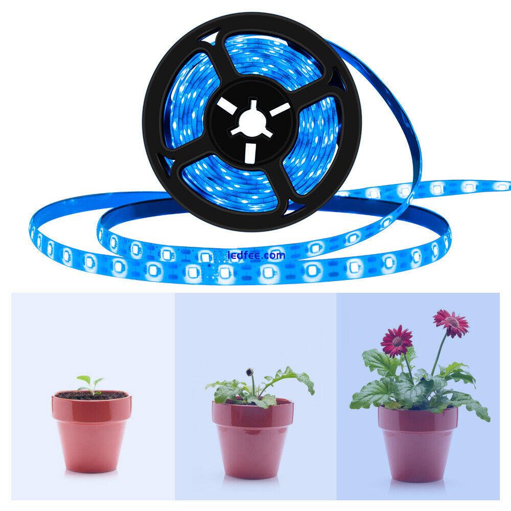 LED Plant Grow Strip Light Touch Switch USB Power Waterproof Flower Indoor Lamp 1 