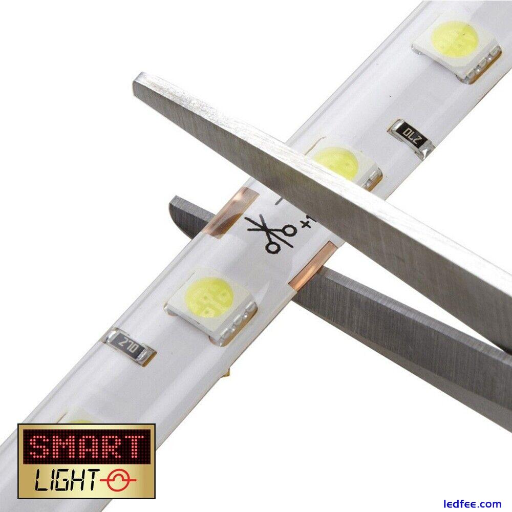 WHITE Ultra Bright 5m/600 LED Light Strip Sticky Tape SMD 2835 120LED/m 8mm 12V 3 