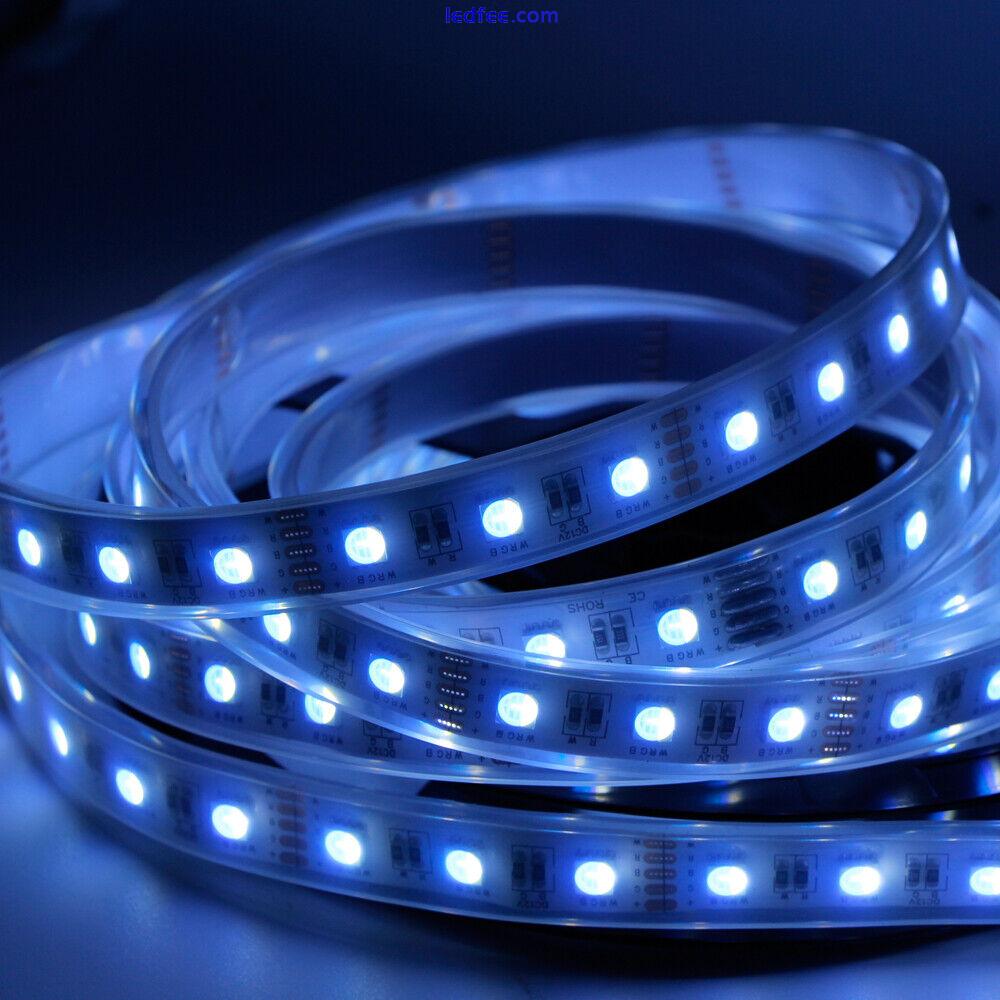 RGBW RGBWW 4in1 5050 Led Flexible Tape Strip Light 12V 24V 60leds 96Led/m 0.5-5m 5 