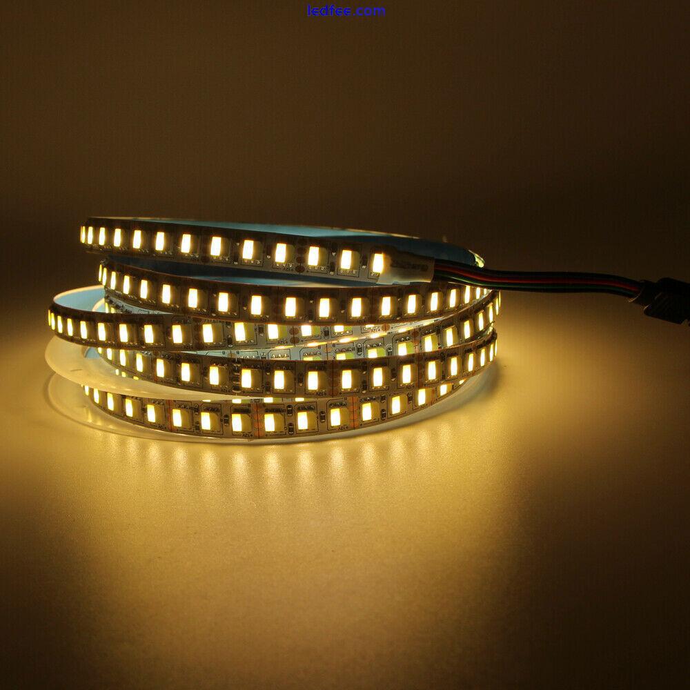 1-5m led strip light 5050 5025 CCT WW+CW color temperature adjustable tape lamp 3 