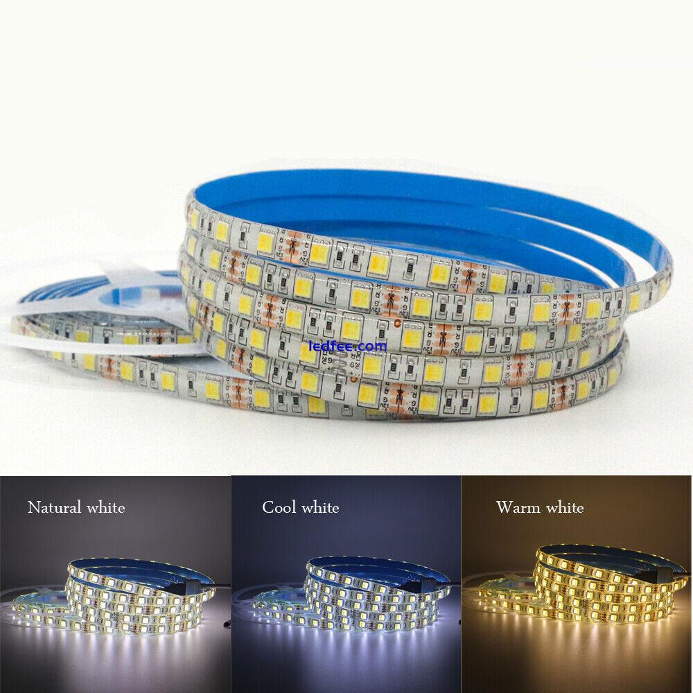 1-5m led strip light 5050 5025 CCT WW+CW color temperature adjustable tape lamp 4 