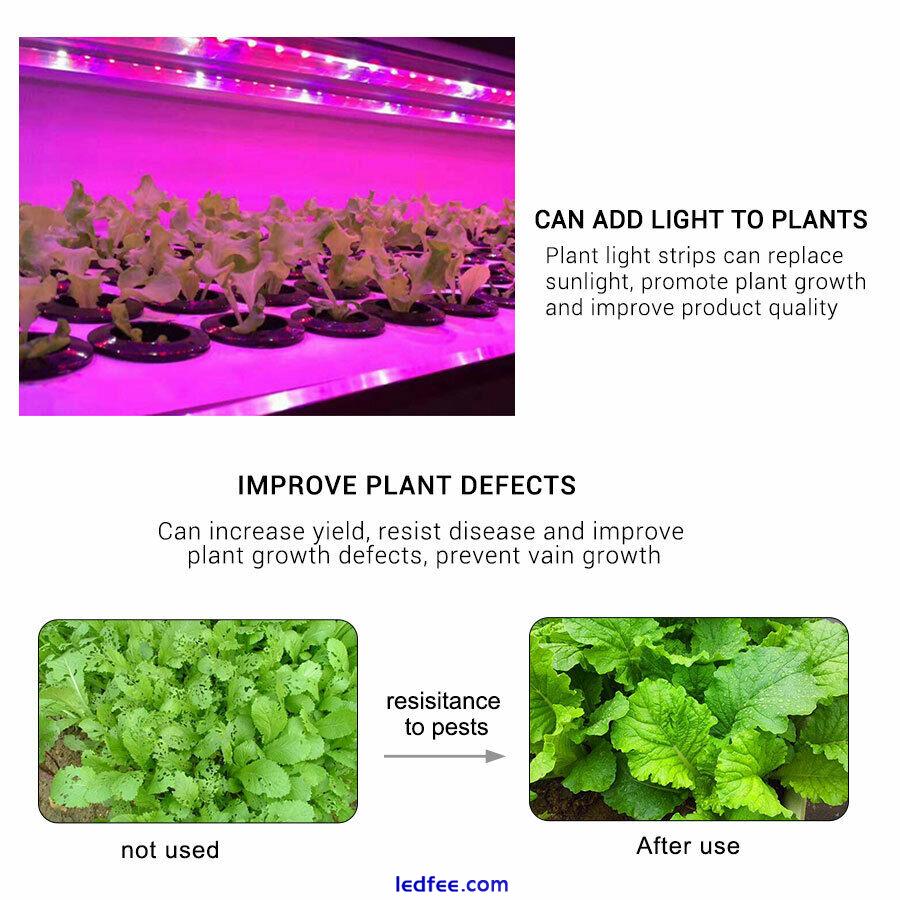 DC5V LED Grow Light Full Spectrum USB LED Strip Light 2835 LED For Plant Growing 2 
