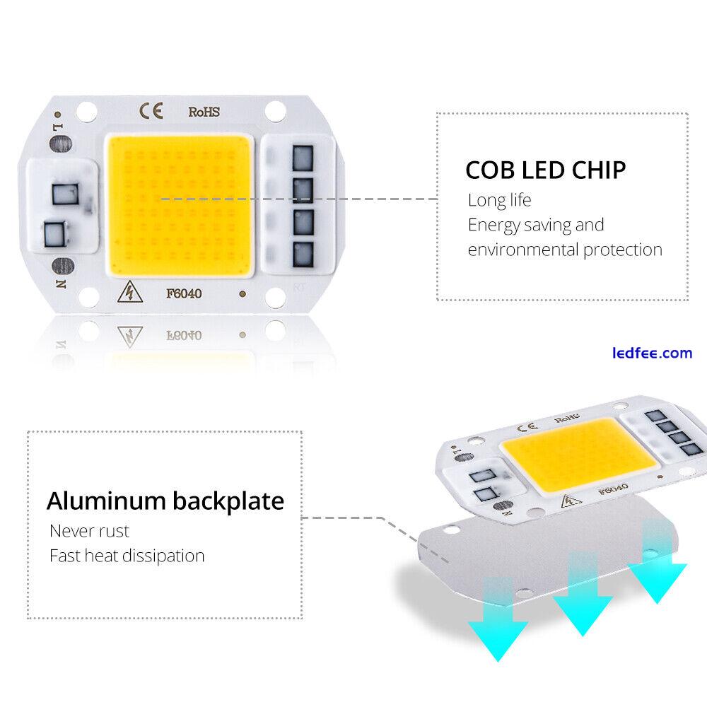COB LED Lamp Chip 50W 30W 20W 110V 220V DIY LED Bulb Flood Light Diode Spotlight 1 