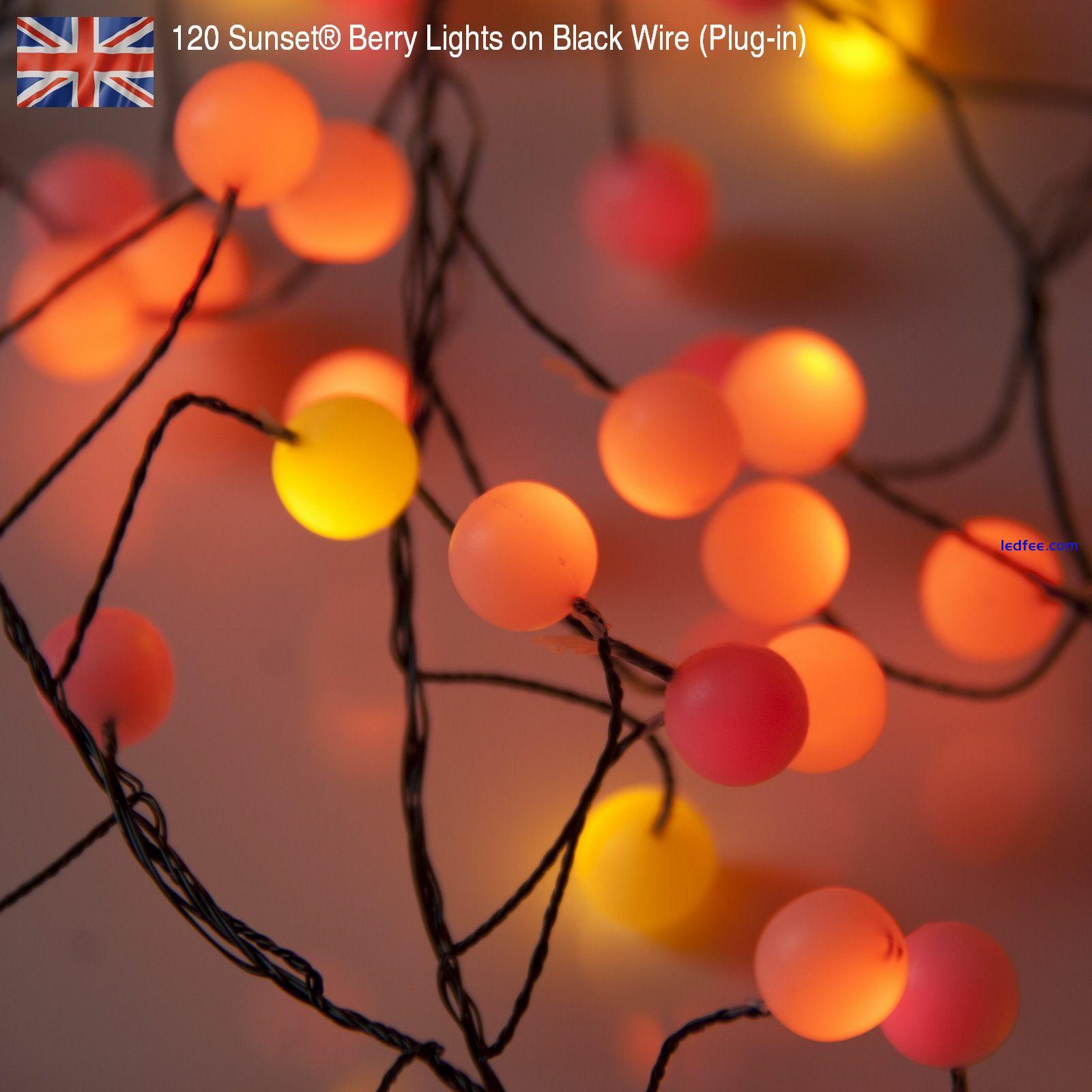 Premium LED Cluster Lights, Sunset & Warm White Fairy Lights for Christmas 3 