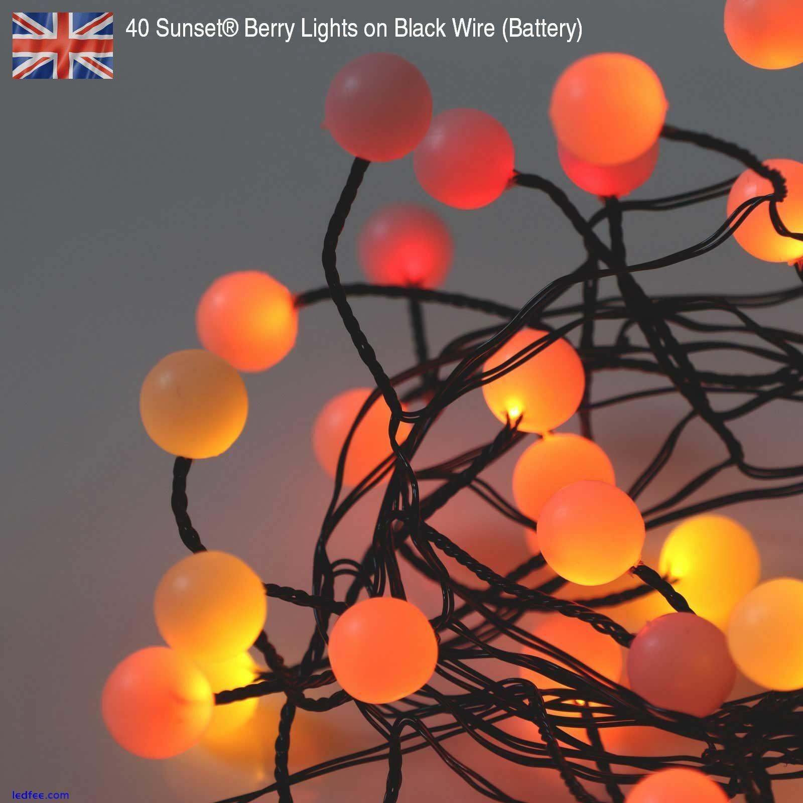 Premium LED Cluster Lights, Sunset & Warm White Fairy Lights for Christmas 4 