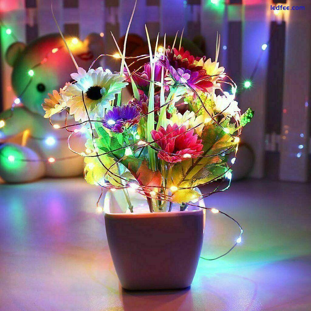 2m 5m 10m 20m USB Plug in Micro Rice Wire Copper Fairy String Party LED Lights  2 