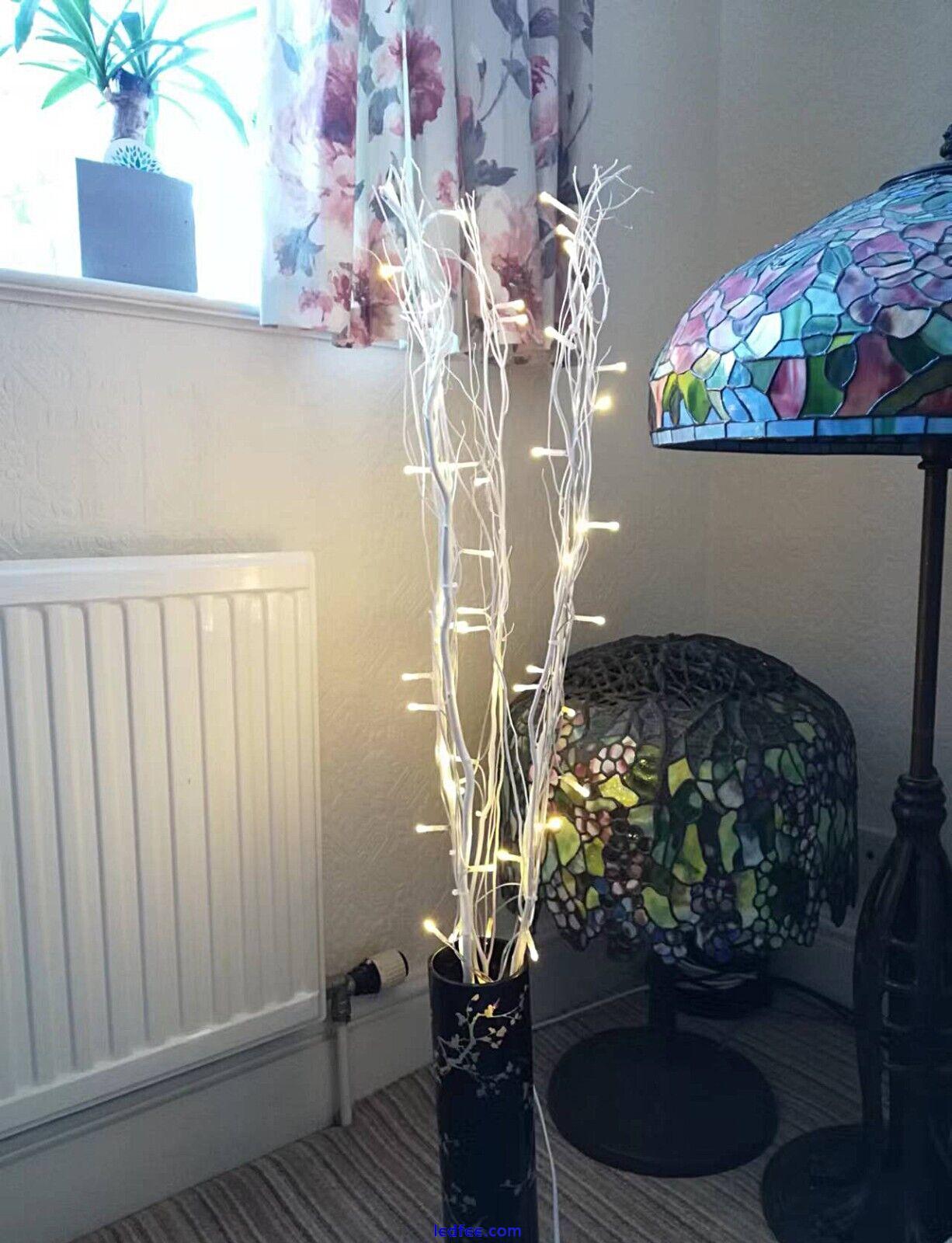 Natural 5x115cm White/Cream 50 LED Warm White Fairy Home Decorate Twig Lights 0 