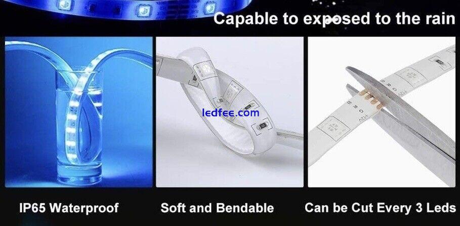 LED Lights for Bedroom, 5050 LED Tape Lights, Color Changing. FREE SHIPPING! 4 