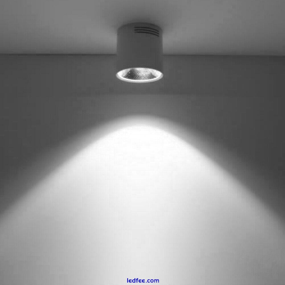 Dimmable/N LED COB Ceiling Lamp Picture Light Fixture Indoor Downlight Corridor 5 
