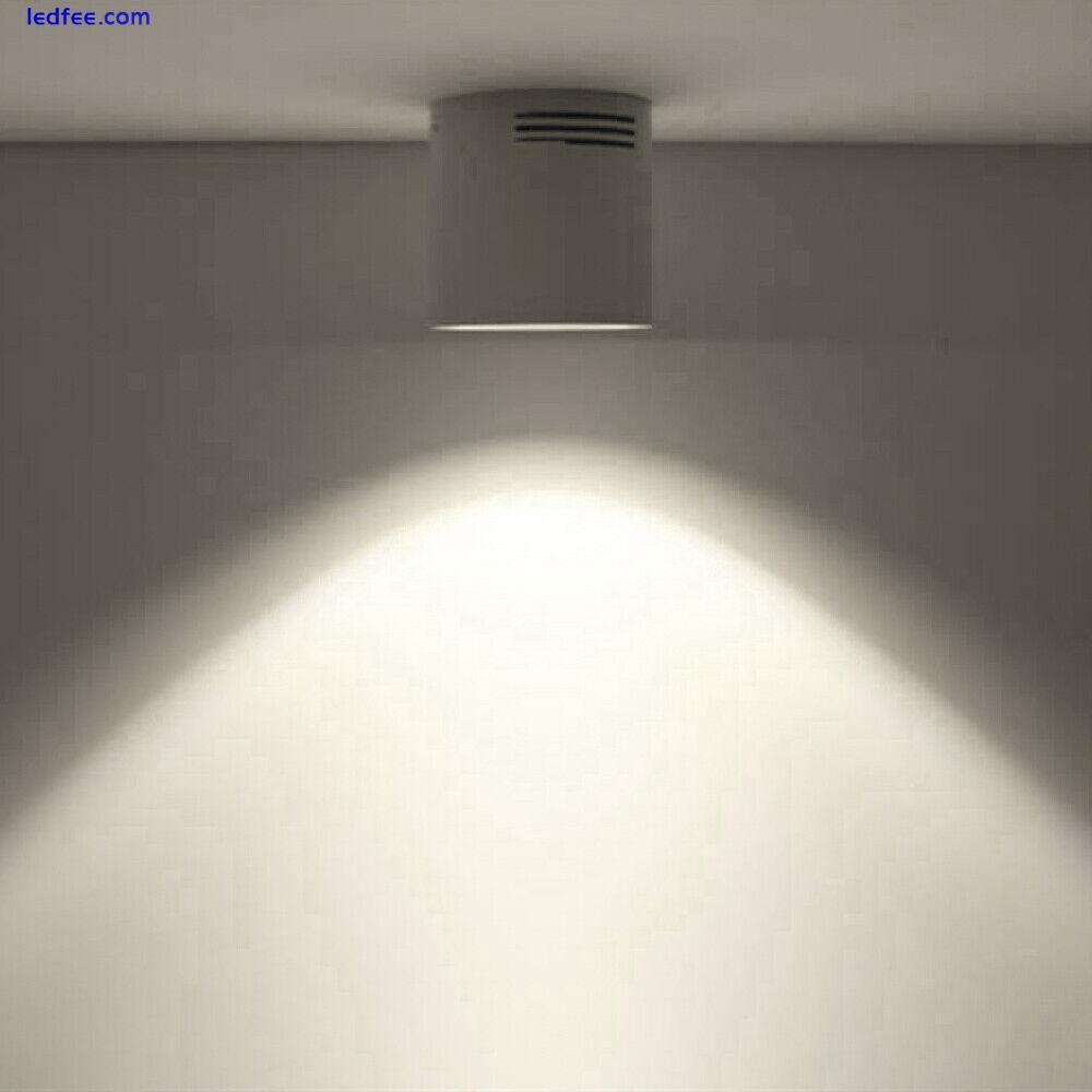 Dimmable/N LED COB Ceiling Lamp Picture Light Fixture Indoor Downlight Corridor 4 