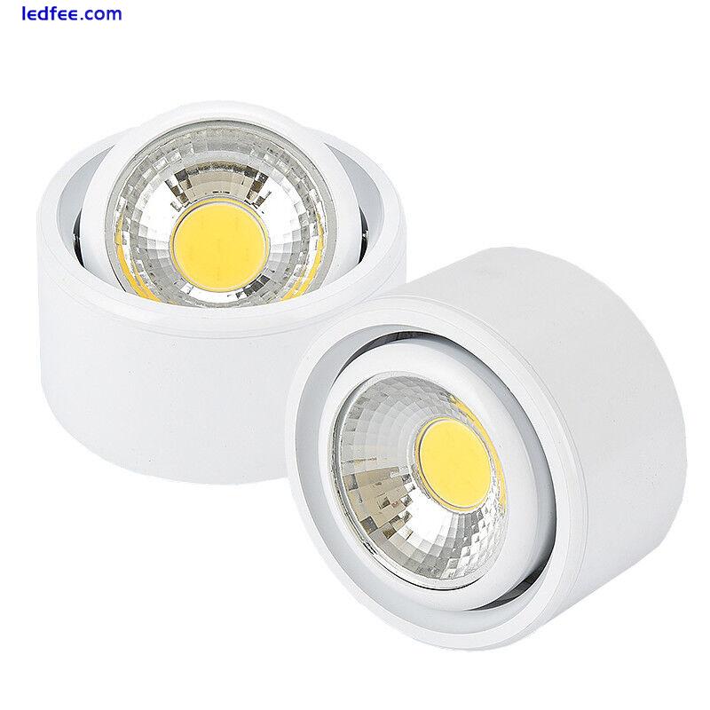 LED COB Ceiling Light Fixture Adjustable Picture Lamp Dimmable/N Downlight Hotel 1 
