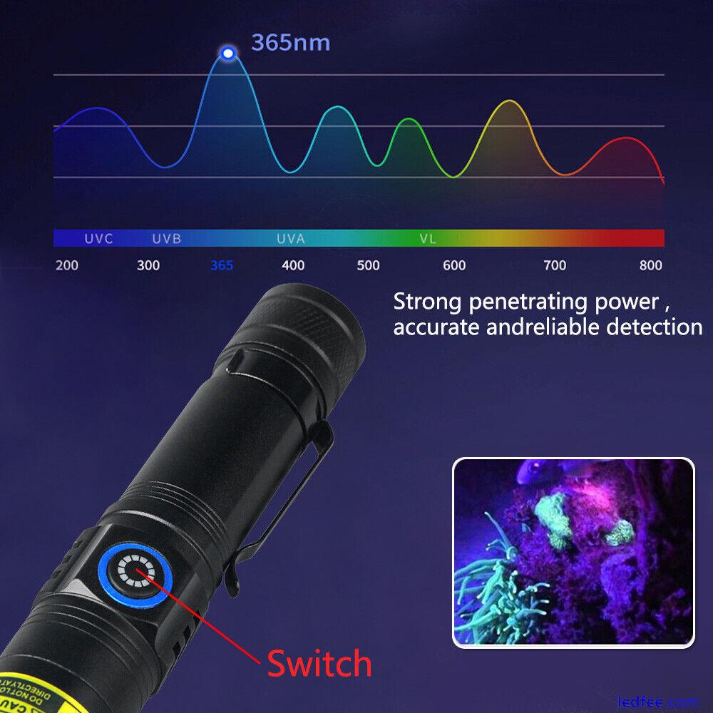 UV 365nm Torch Blacklight Ultraviolet LED Flashlight Pet Urine Stain Detector UK 5 