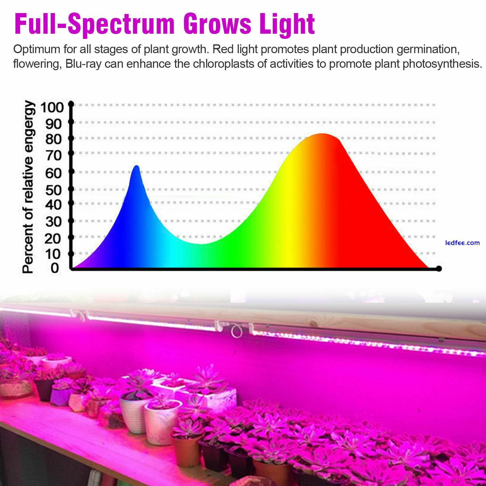 T5 LED Grow Light Tube Strip Full Spectrum Lamp for Indoor Plant Flower Veg Grow 3 
