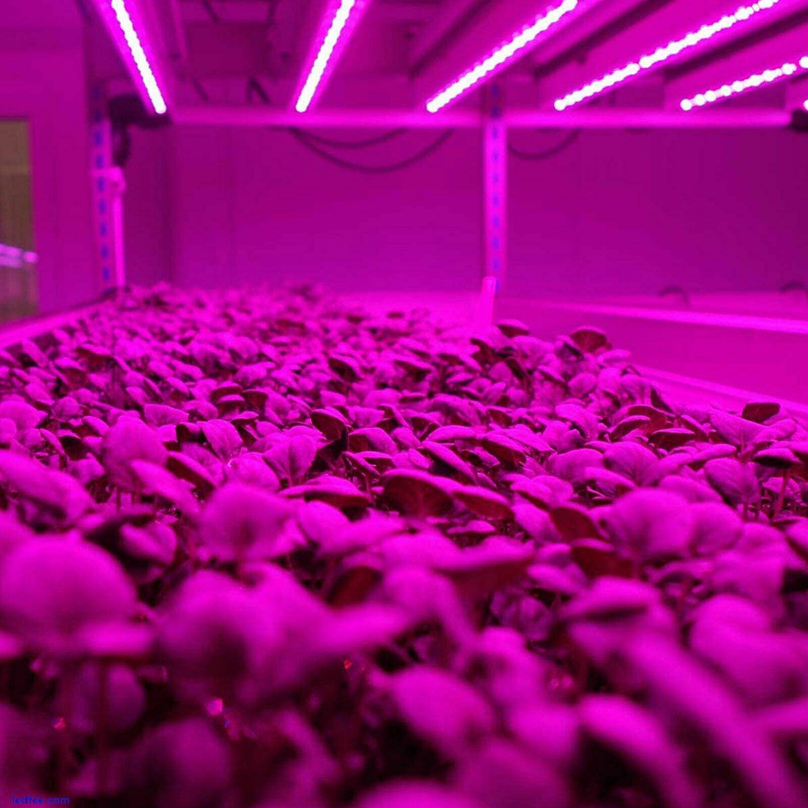 T5 LED Grow Light Tube Strip Full Spectrum Lamp for Indoor Plant Flower Veg Grow 2 