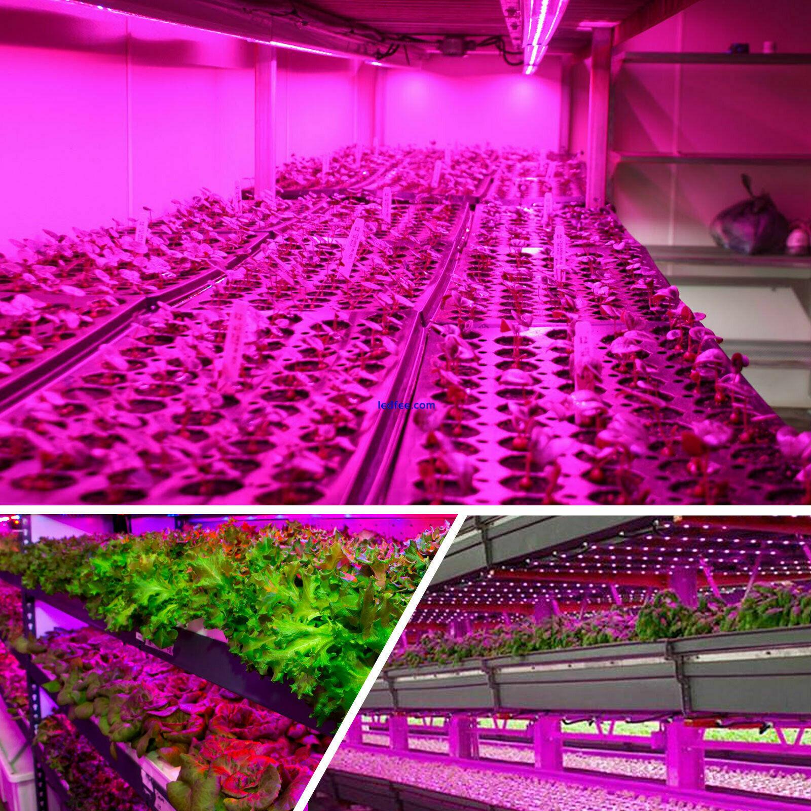 T5 LED Grow Light Tube Strip Full Spectrum Lamp for Indoor Plant Flower Veg Grow 5 