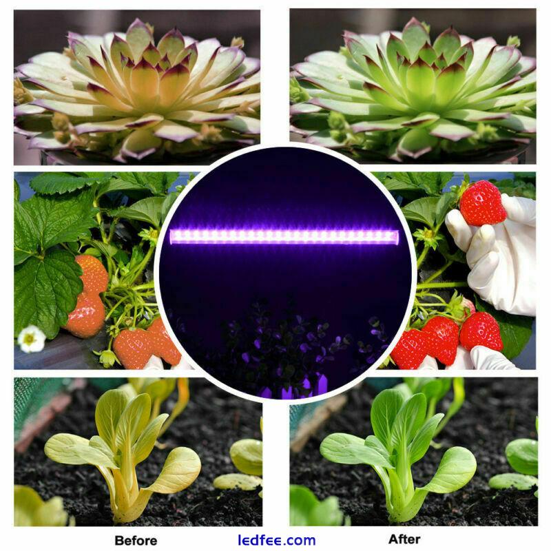 Full Spectrum LED Grow Light T5 Tubes Plant Growing Strip Lamp Garden Veg Tool 5 