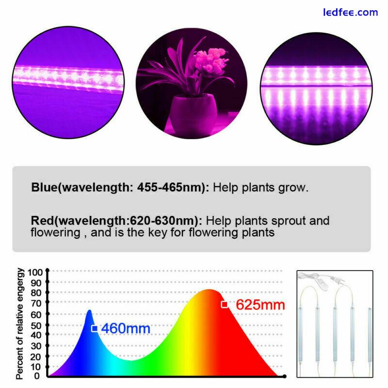 Full Spectrum LED Grow Light T5 Tubes Plant Growing Strip Lamp Garden Veg Tool 3 