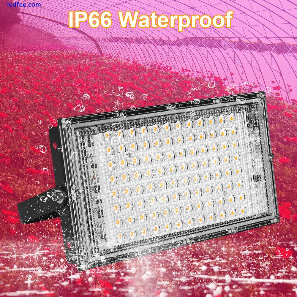 50W 100W LED Full Spectrum Plant Grow Light Spot Grow Lamp for Seeding Growing 4 