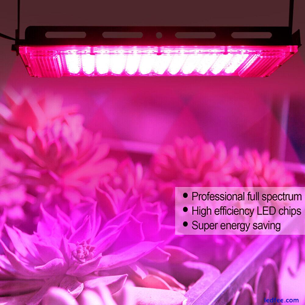 50W 100W LED Full Spectrum Plant Grow Light Spot Grow Lamp for Seeding Growing 3 