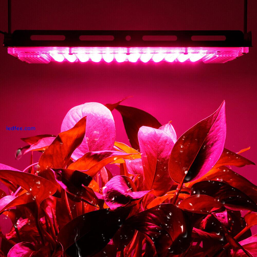 50W 100W LED Full Spectrum Plant Grow Light Spot Grow Lamp for Seeding Growing 1 