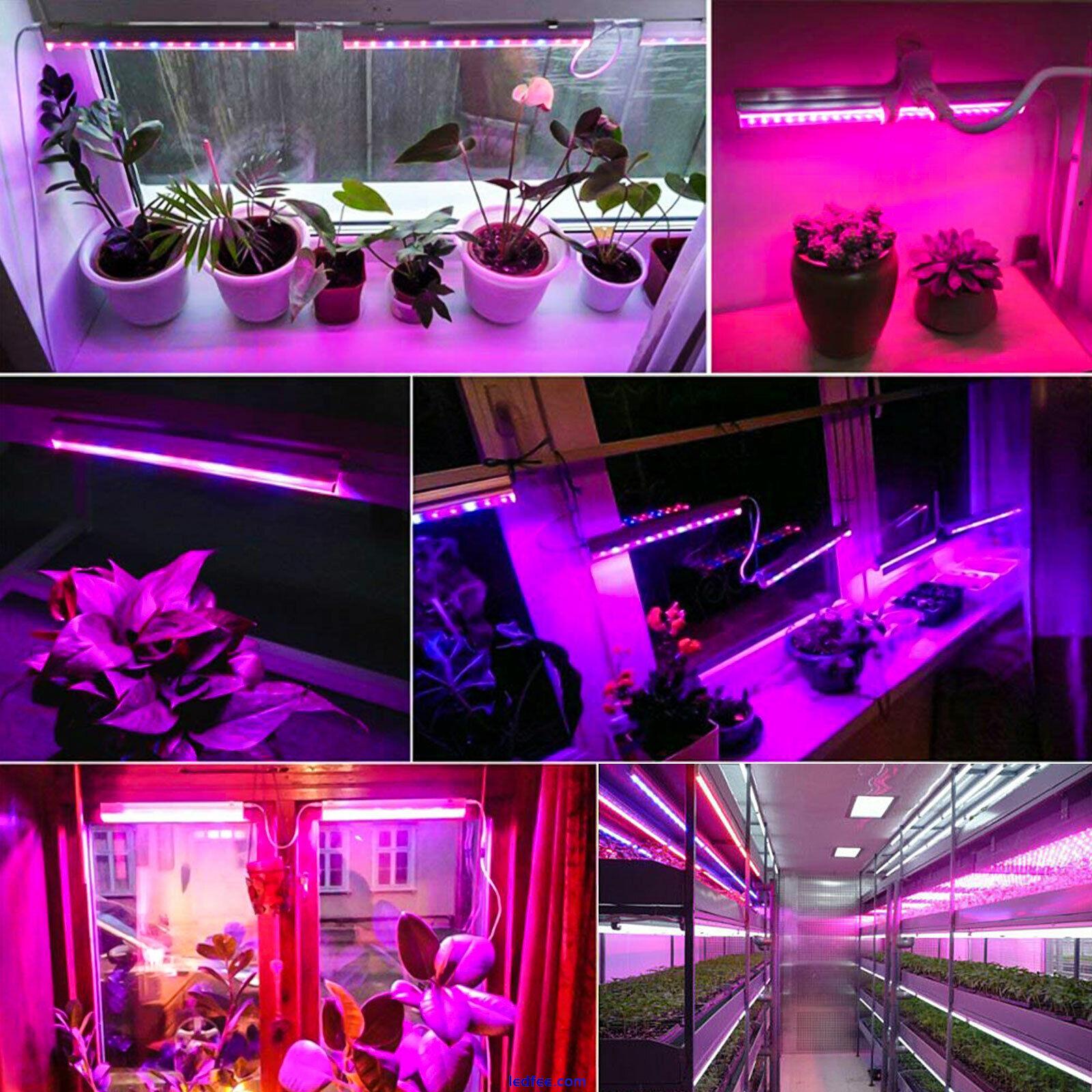 DC 12V LED Plant Grow Strip Full Spectrum Red +Blue light for Indoor Hydroponics 5 