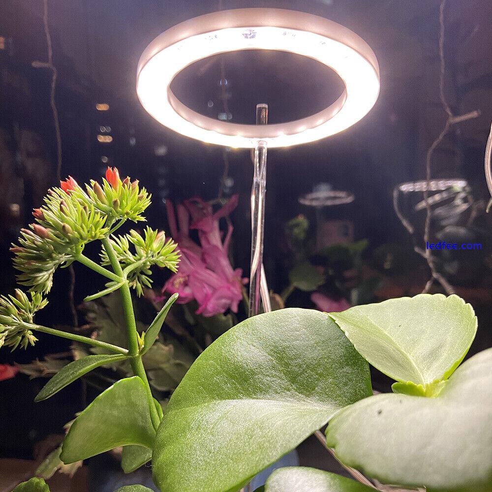 LED Plant Halo Lights Grow Lamp Full Spectrum for Hydroponic Veg Flower Fruit UK 3 