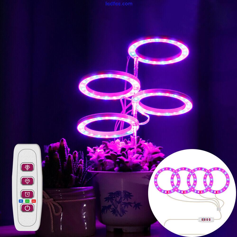 LED Plant Halo Lights Grow Lamp Full Spectrum for Hydroponic Veg Flower Fruit UK 5 