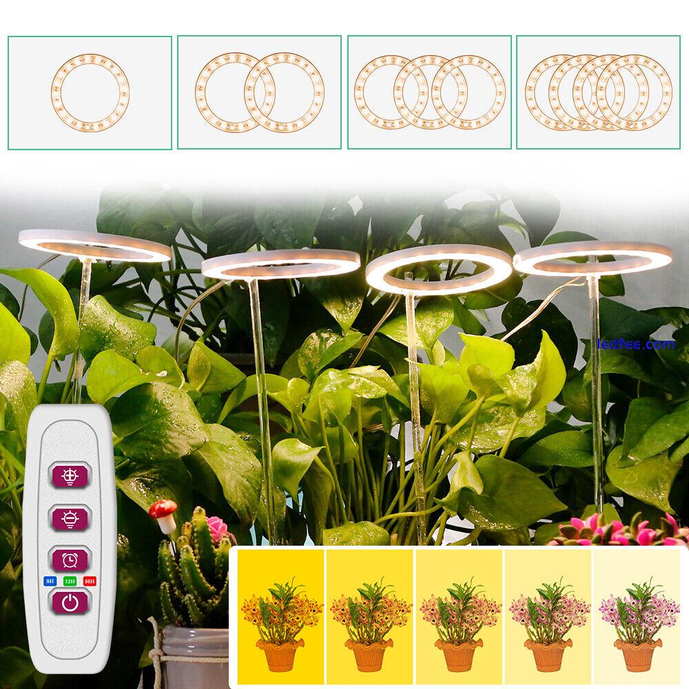 LED Plant Halo Lights Grow Lamp Full Spectrum for Hydroponic Veg Flower Fruit UK 1 