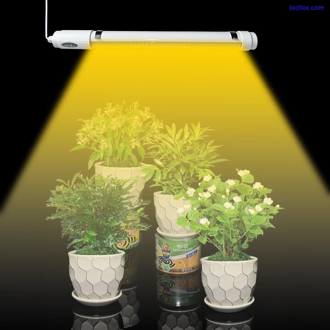 Bright Solar Powered Grow Light Full Spectrum Growing Lamp Led For Outdoor Indoo 1 