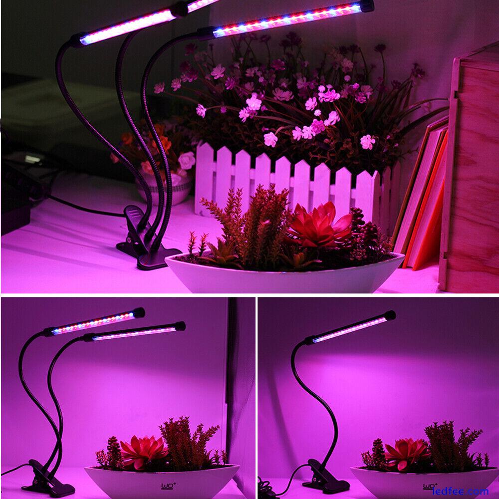 Full Spectrum LED Grow Lighting Plant Growing Lamp for Indoor Plants Hydroponics 3 
