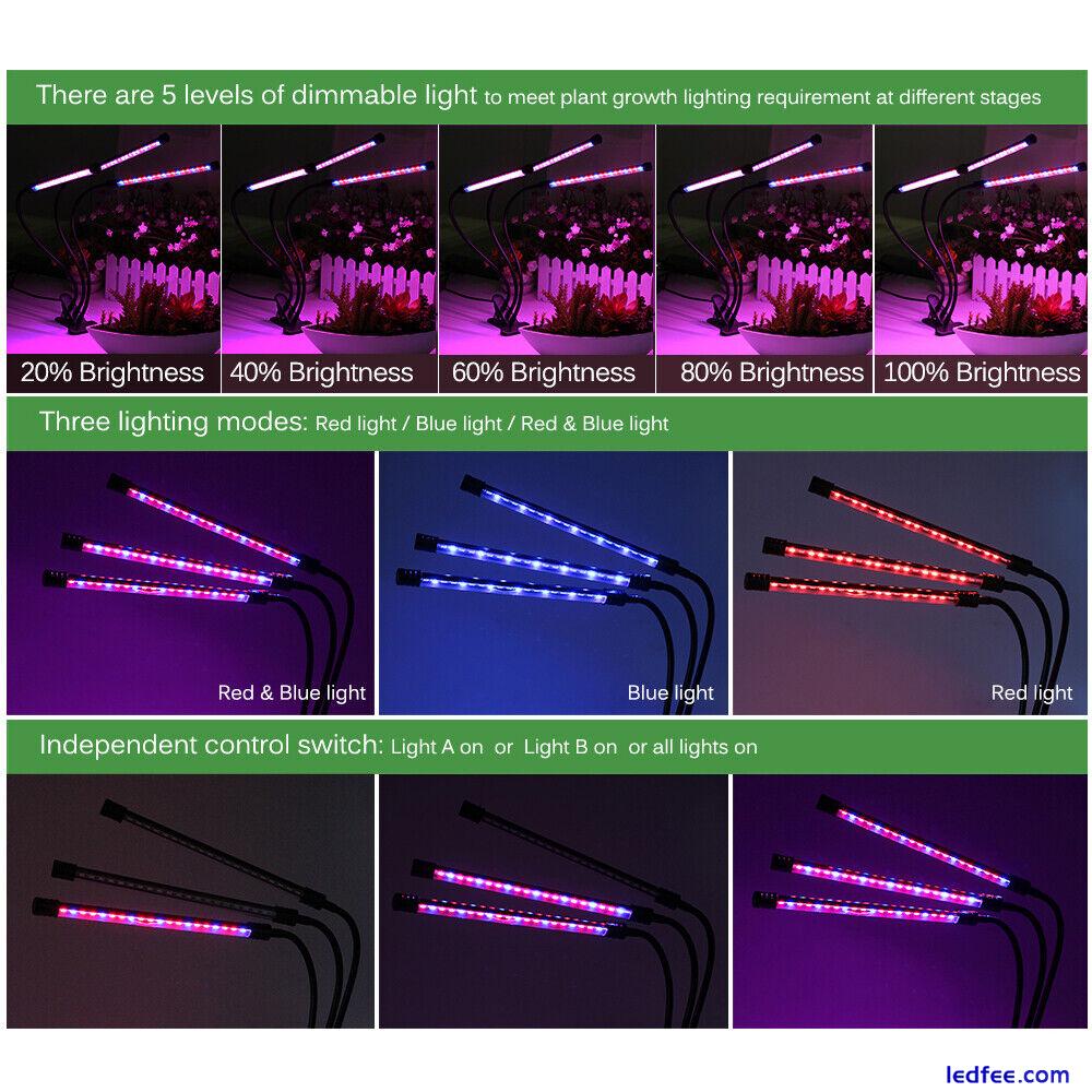 Full Spectrum LED Grow Lighting Plant Growing Lamp for Indoor Plants Hydroponics 2 