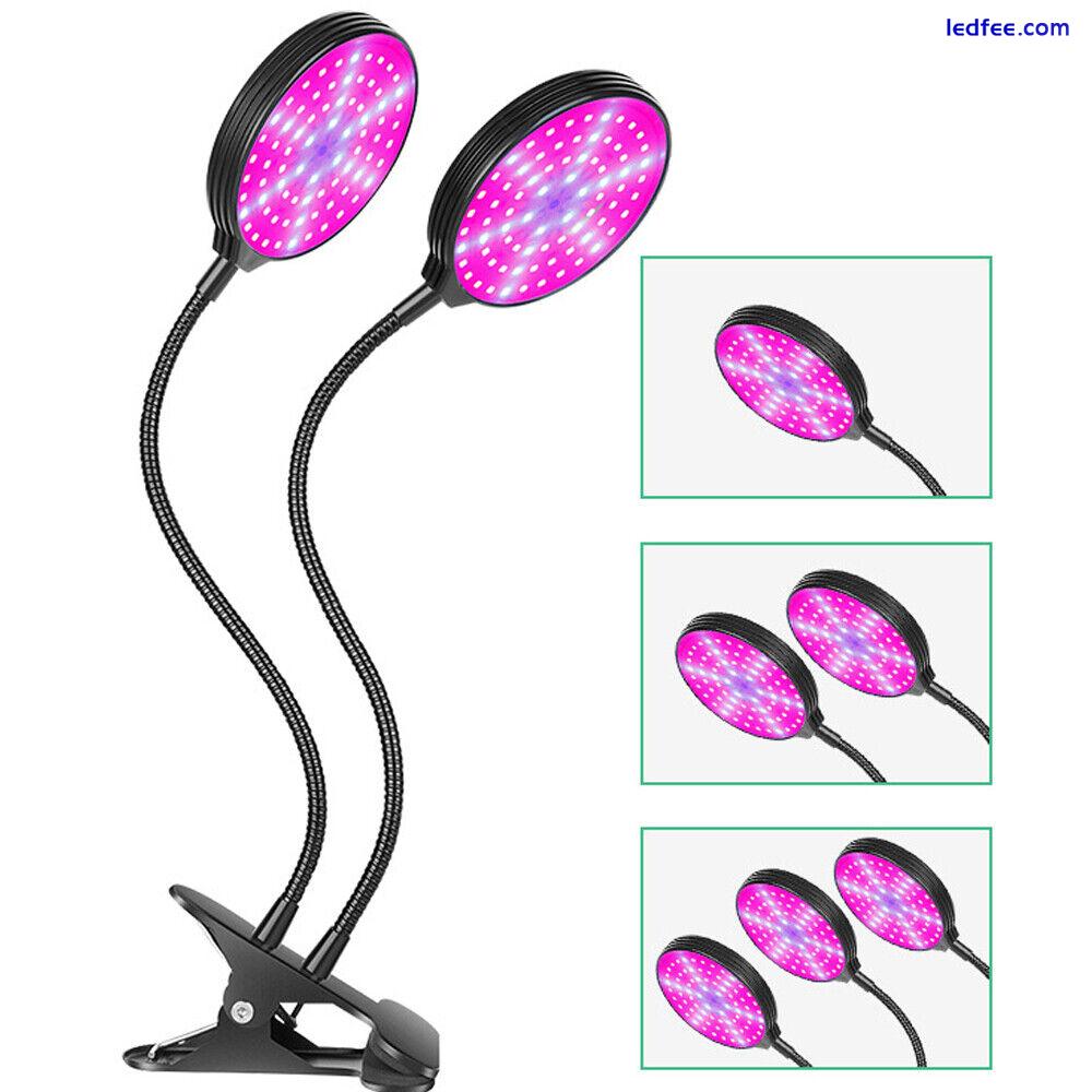 Full Spectrum LED Grow Lighting Plant Growing Lamp for Indoor Plants Hydroponics 5 