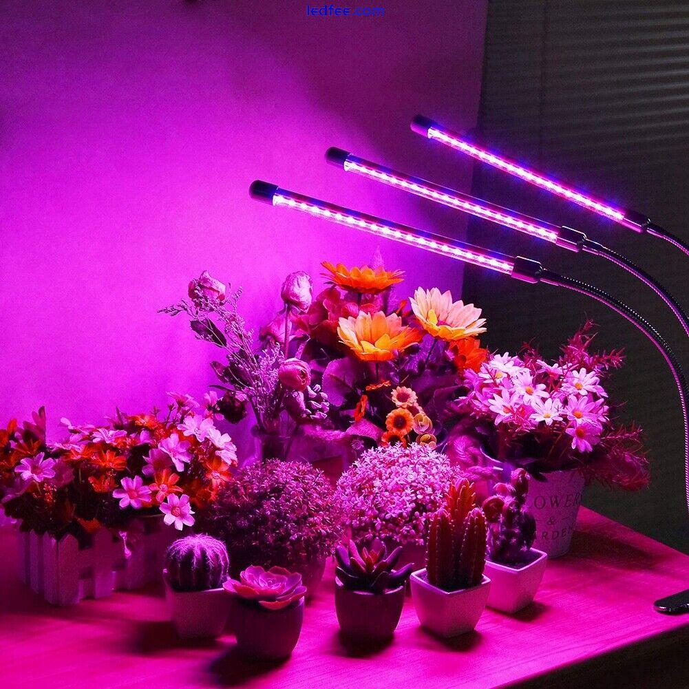 60W LED Grow Light for Indoor Plant Spectrum Clip Growing Lamp for House Garden 1 