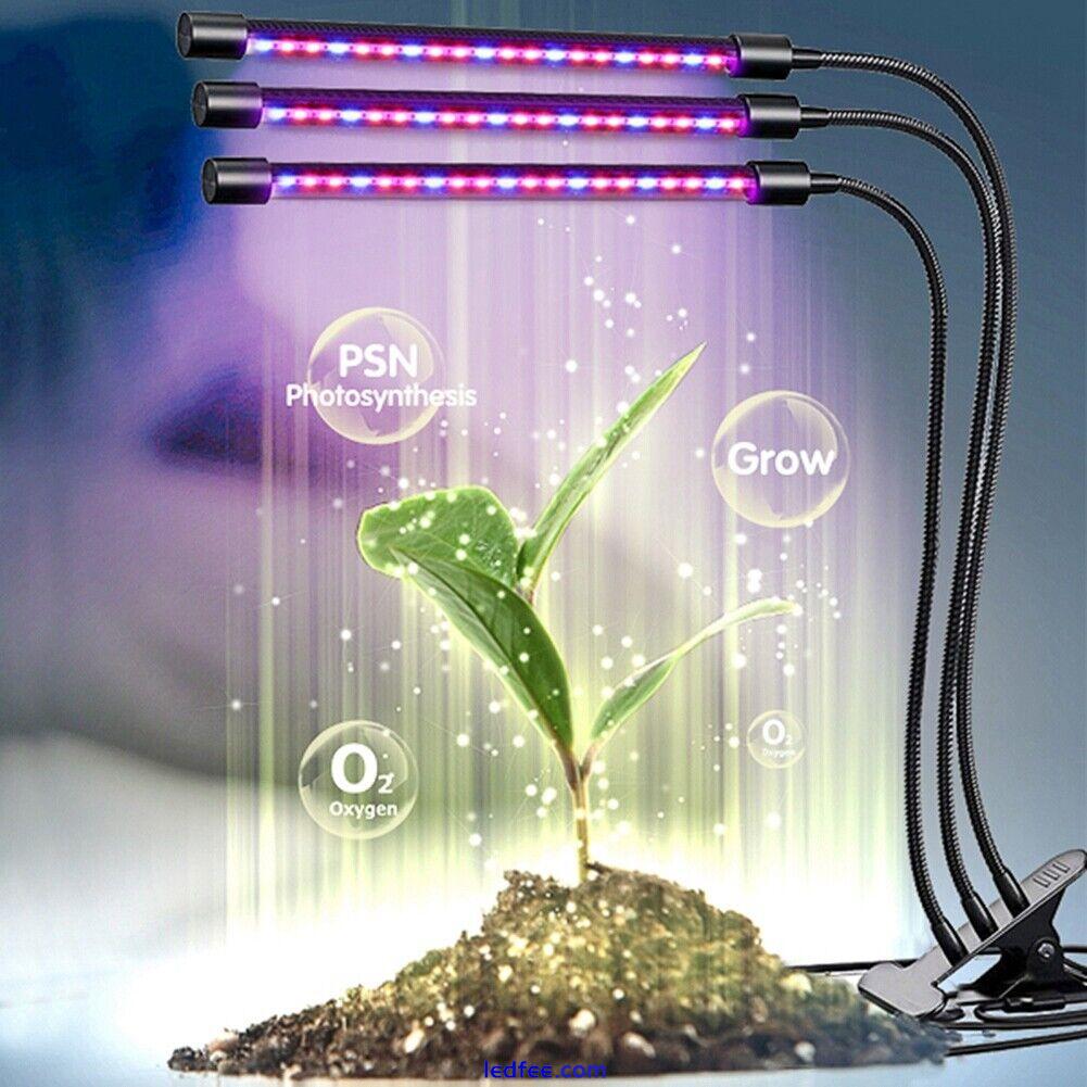 60W LED Grow Light for Indoor Plant Spectrum Clip Growing Lamp for House Garden 4 