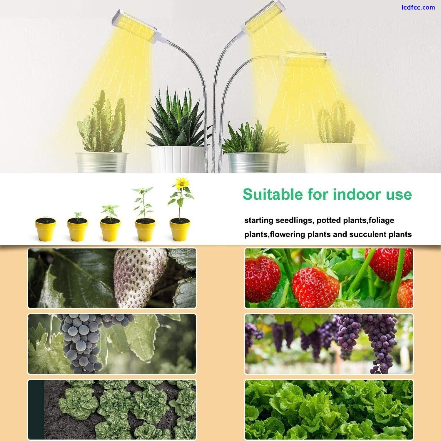 Grow Light for Indoor Plants, Led with Desk Clip for Plants Seedlings Succulents 1 