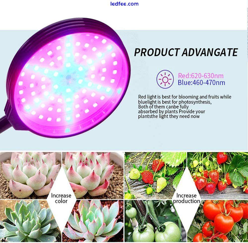 LED Grow Light Plant Growing Lamp Full Spectrum for Indoor Plants Hydroponics 4 