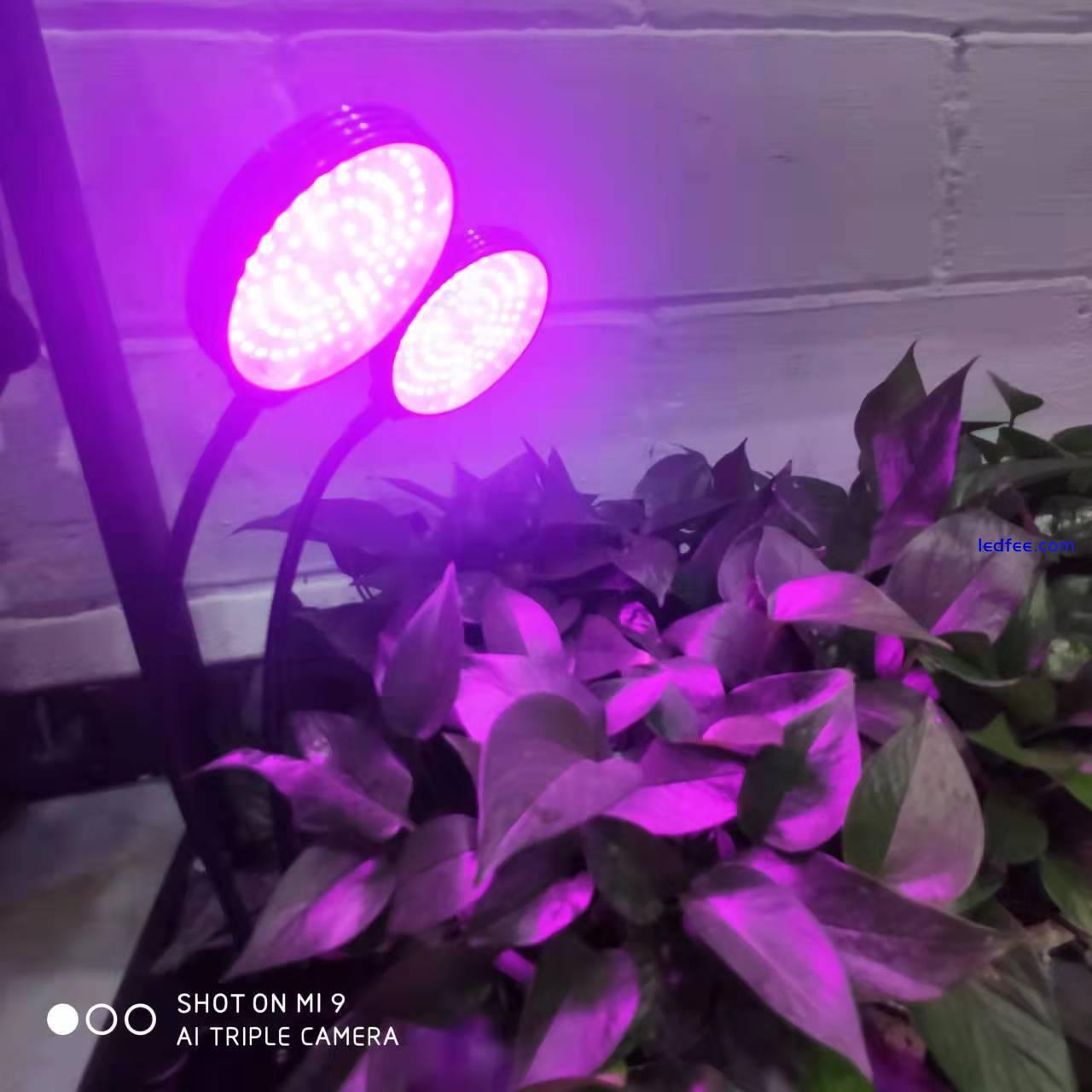 LED Grow Light Plant Growing Lamp Full Spectrum for Indoor Plants Hydroponics 2 