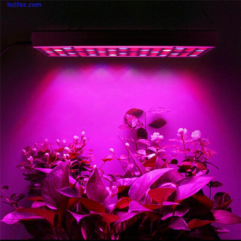8000W LED Grow Light Hydroponic Full Spectrum Indoor Veg Flower Plant Lamp Panel 2 