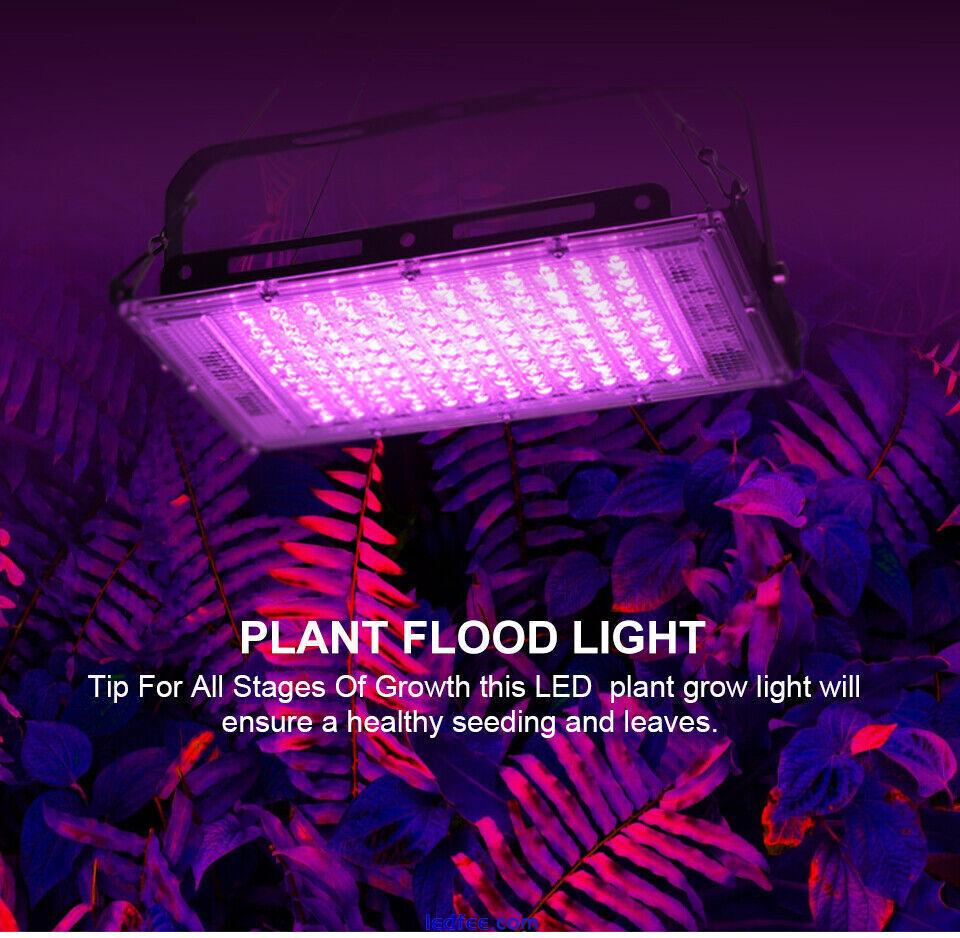 100W Full Spectrum AC220V LED Grow Light Bulb Lamp for Veg Bloom Indoor Plant 4 