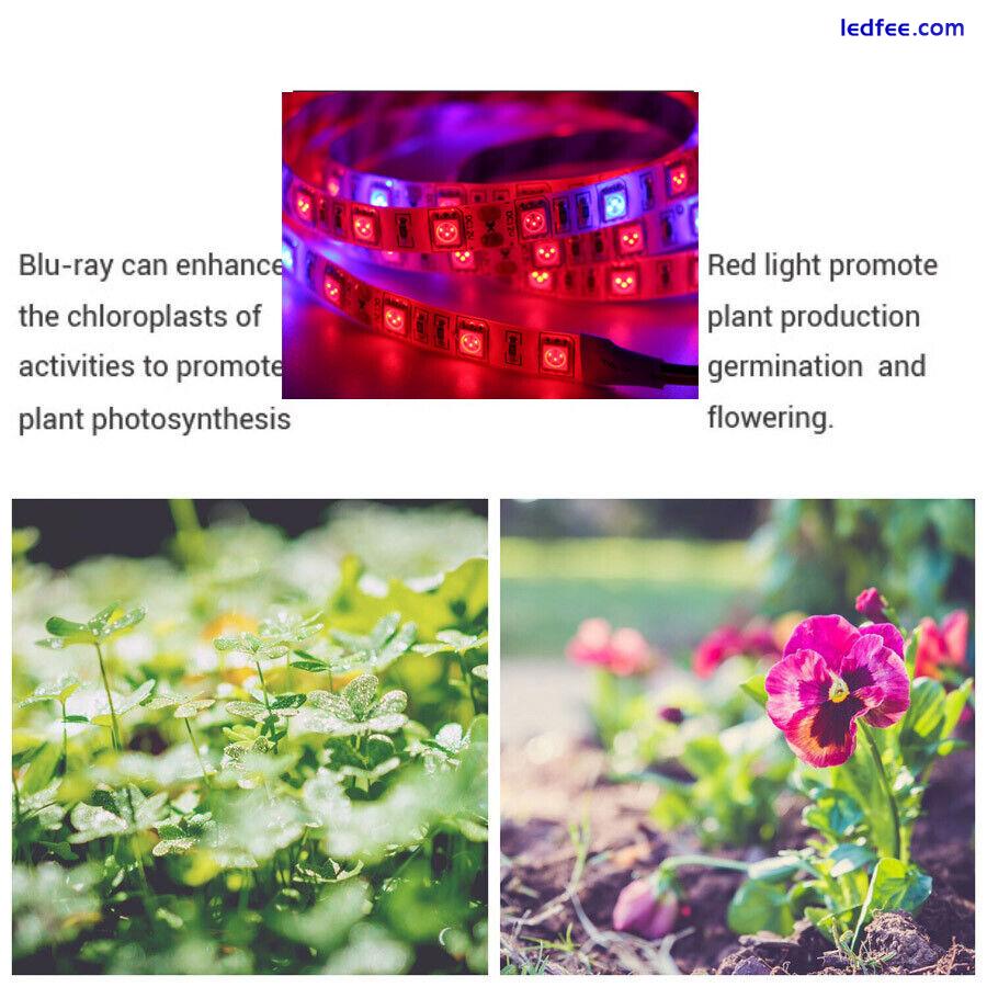 Full Spectrum red blue LED Strip Grow Light Hydroponic Greenhouse Veg Plant Lamp 4 